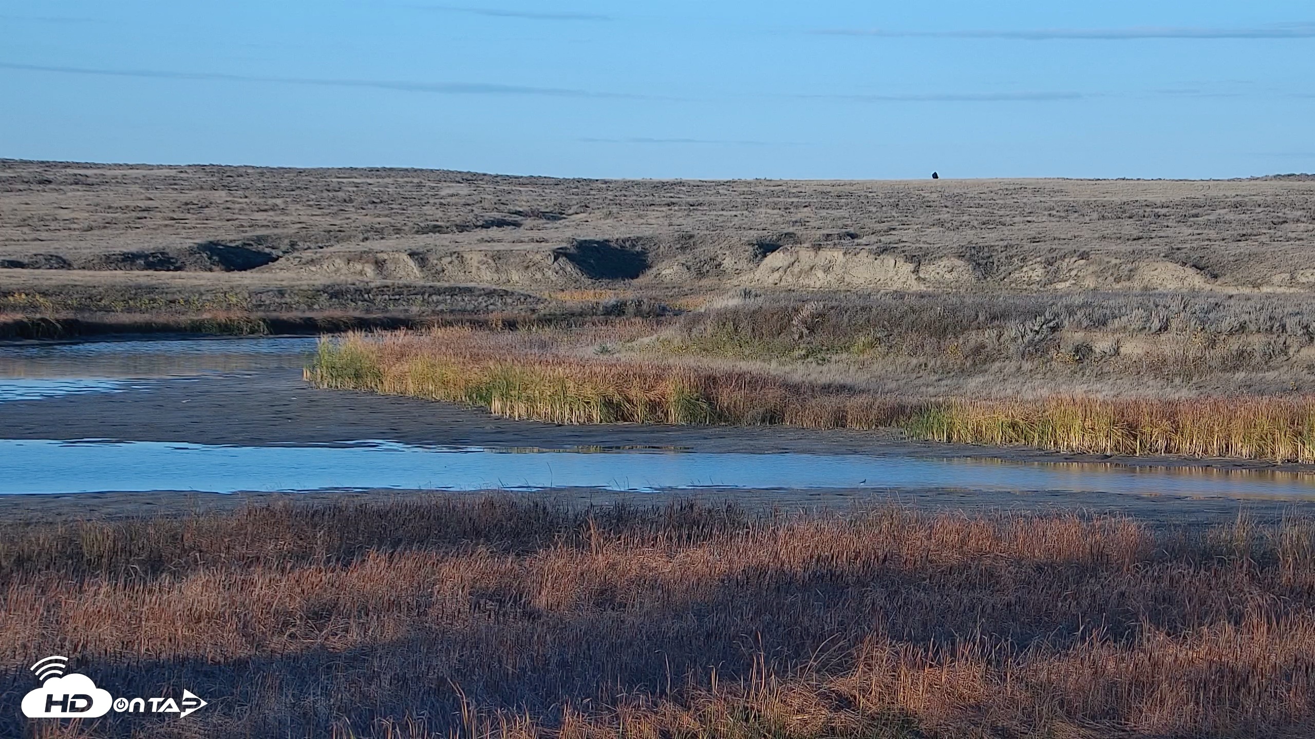 Snapshot of American Prairie Montana Bison Live Cam taken Oct 18, 2026, 5:40pm MDT
