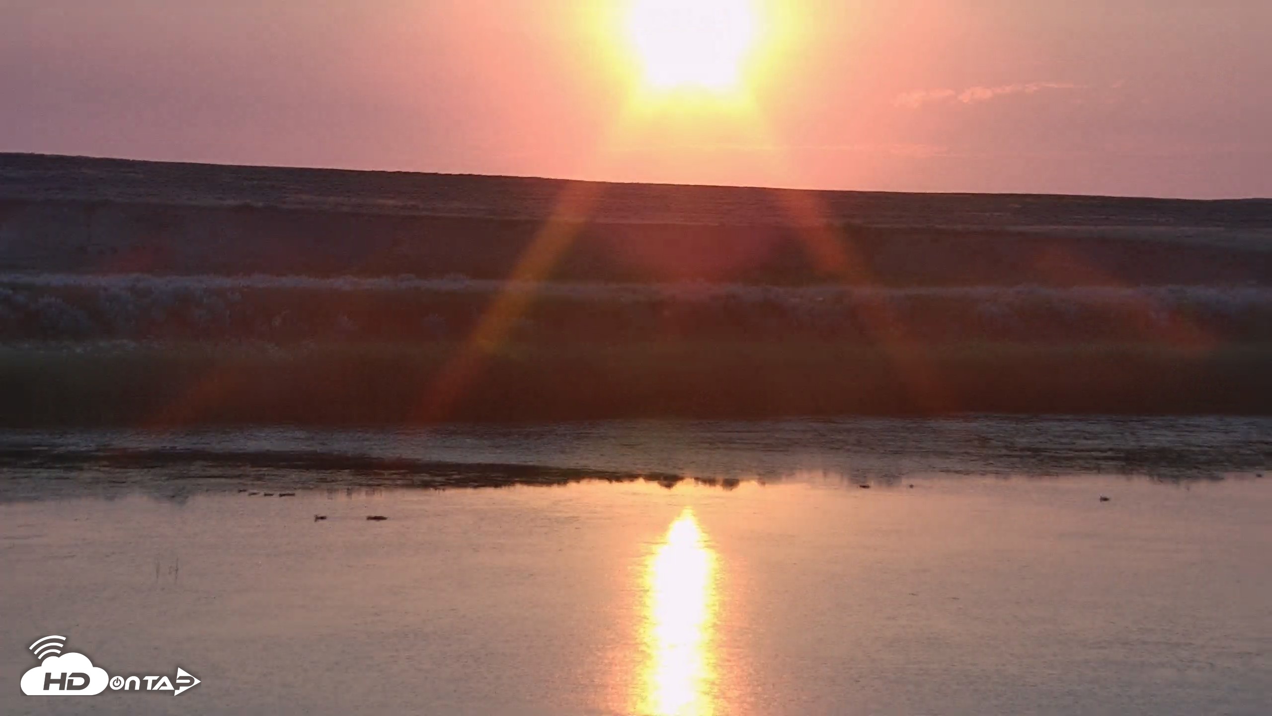 Snapshot of American Prairie Montana Bison Live Cam taken Jul 19, 2026, 5:56am MDT