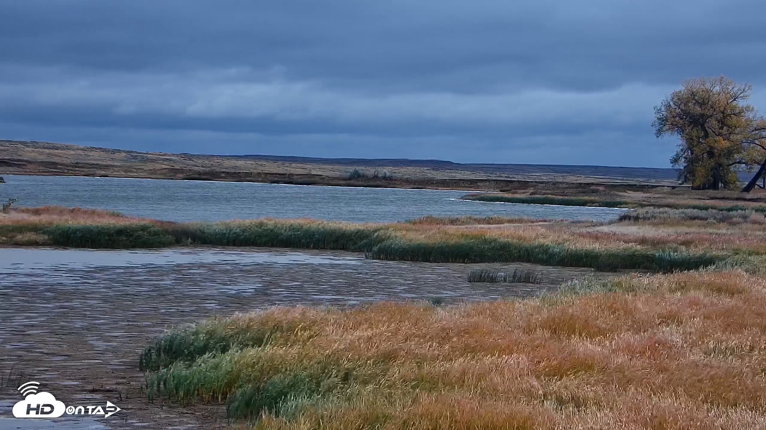 Snapshot of American Prairie Montana Bison Live Cam taken Oct 12, 2025, 10:06am MDT