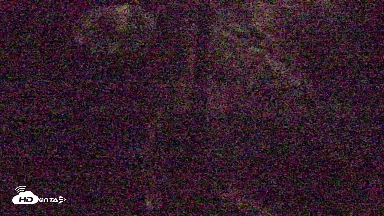 Snapshot of Reid Park Zoo Lemurs Live Webcam taken Jun 6, 2026, 1:27am MST