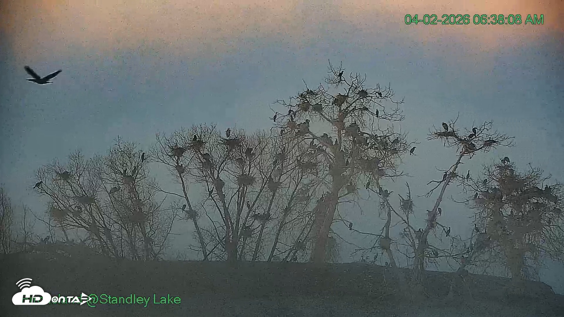 Snapshot of Bird Island Standley Lake Live Webcam taken Apr 2, 2026, 6:39am MDT