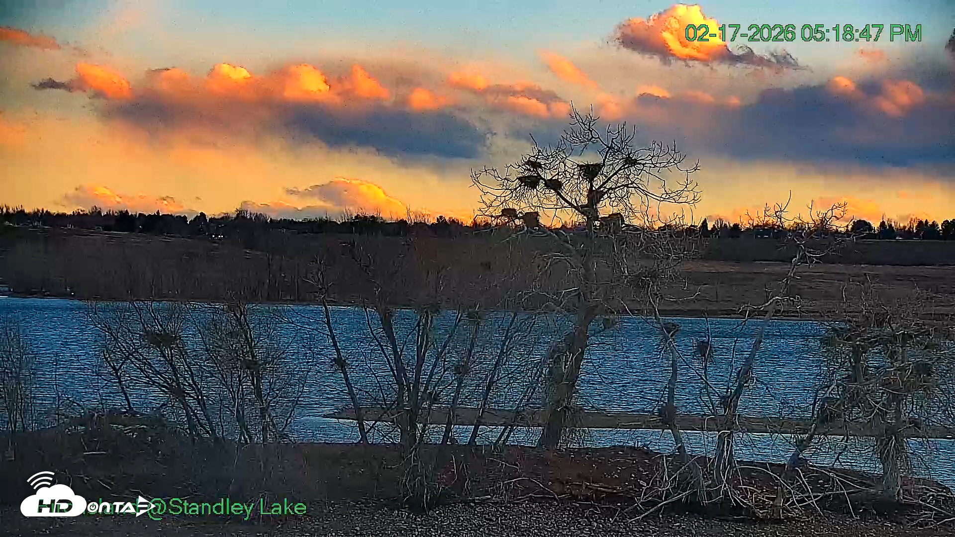 Snapshot of Bird Island Standley Lake Live Webcam taken Feb 17, 2026, 5:18pm MST