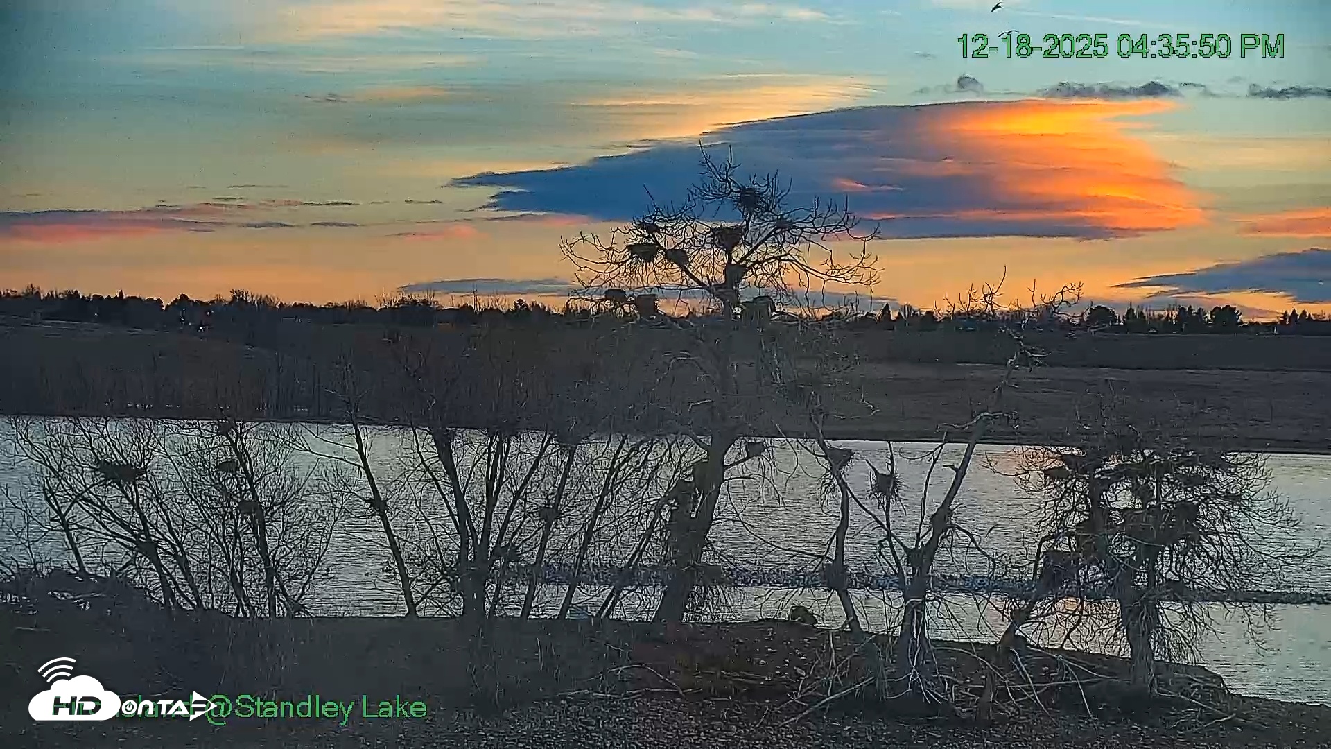 Snapshot of Bird Island Standley Lake Live Webcam taken Dec 18, 2025, 4:35pm MST