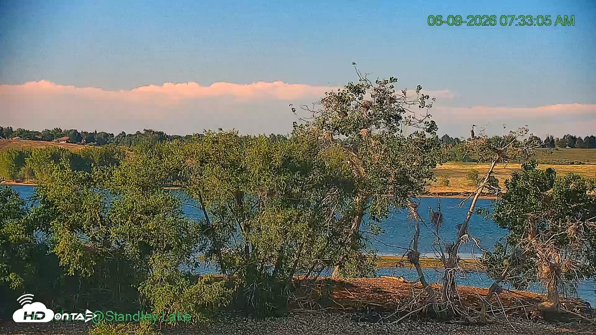 Snapshot of Bird Island Standley Lake Live Webcam taken Jun 9, 2026, 7:33am MDT
