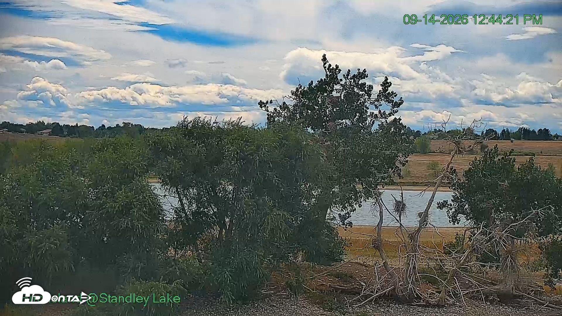 Snapshot of Bird Island Standley Lake Live Webcam taken Sep 14, 2026, 12:44pm MDT