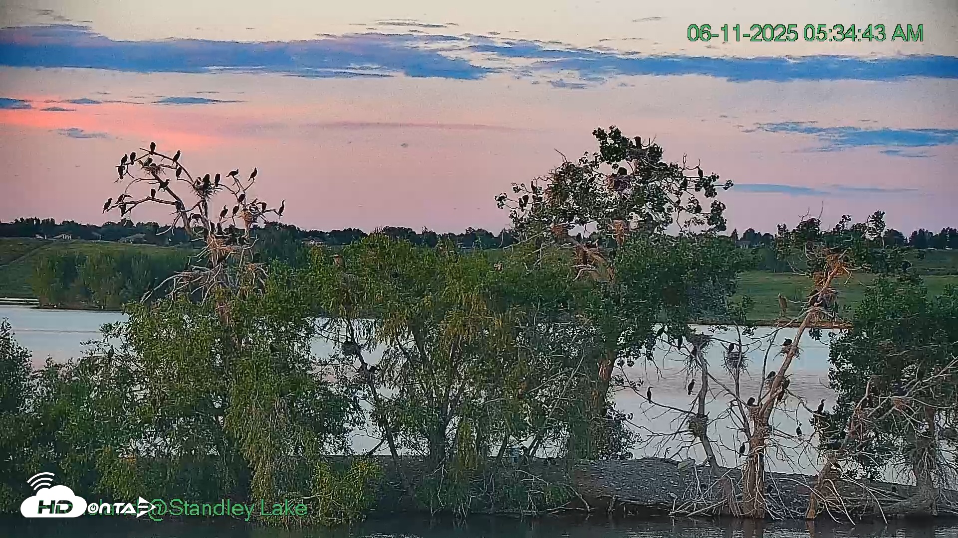Snapshot of Bird Island Standley Lake taken Jun 11, 2025, 5:35am MDT