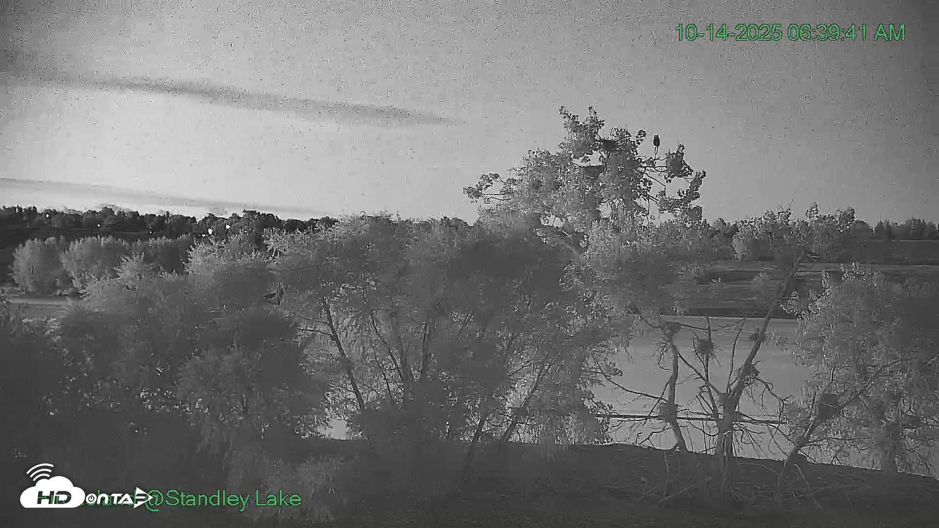 Snapshot of Bird Island Standley Lake Live Webcam taken Oct 14, 2025, 6:40am MDT