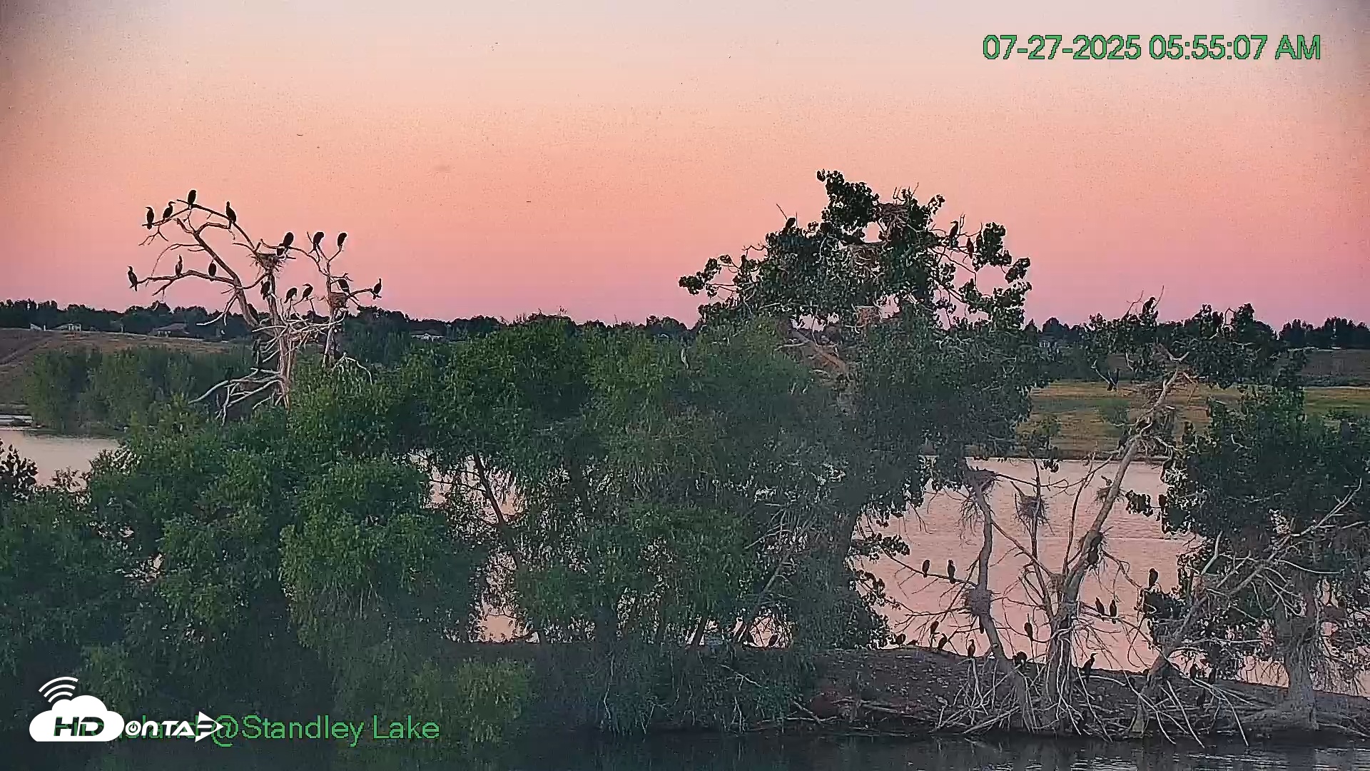Snapshot of Bird Island Standley Lake Live Webcam taken Jul 27, 2025, 5:55am MDT