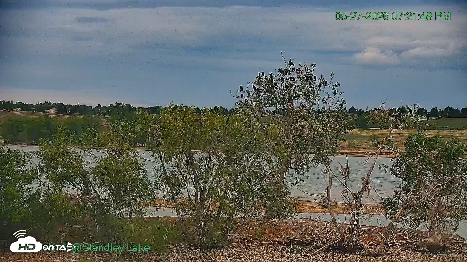 Snapshot of Bird Island Standley Lake Live Webcam taken May 27, 2026, 7:21pm MDT