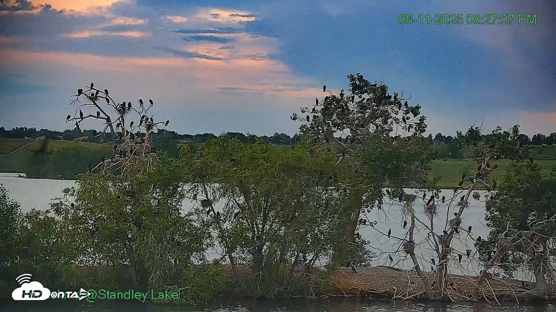 Snapshot of Bird Island Standley Lake taken Jun 11, 2025, 8:27pm MDT