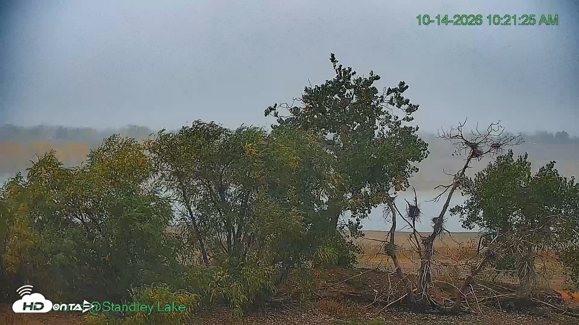 Snapshot of Bird Island Standley Lake Live Webcam taken Oct 14, 2026, 10:21am MDT