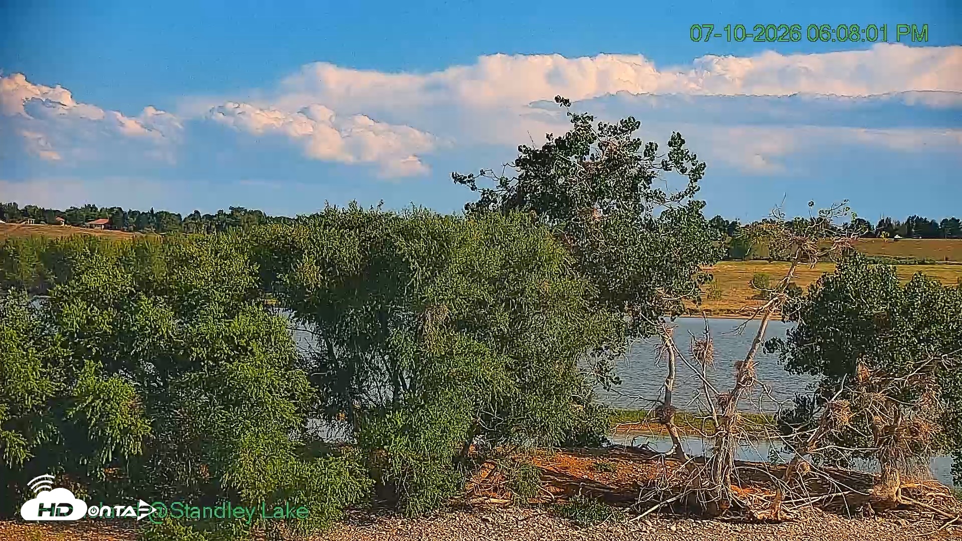 Snapshot of Bird Island Standley Lake Live Webcam taken Jul 10, 2026, 6:07pm MDT