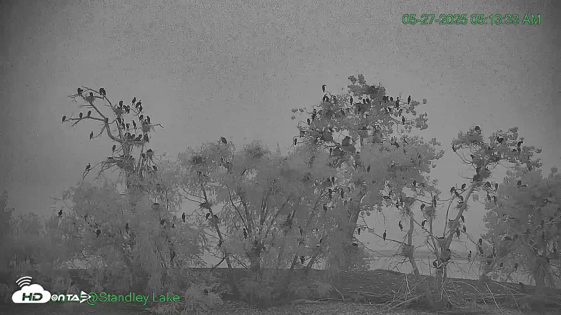 Snapshot of Bird Island Standley Lake taken May 27, 2025, 5:13am MDT