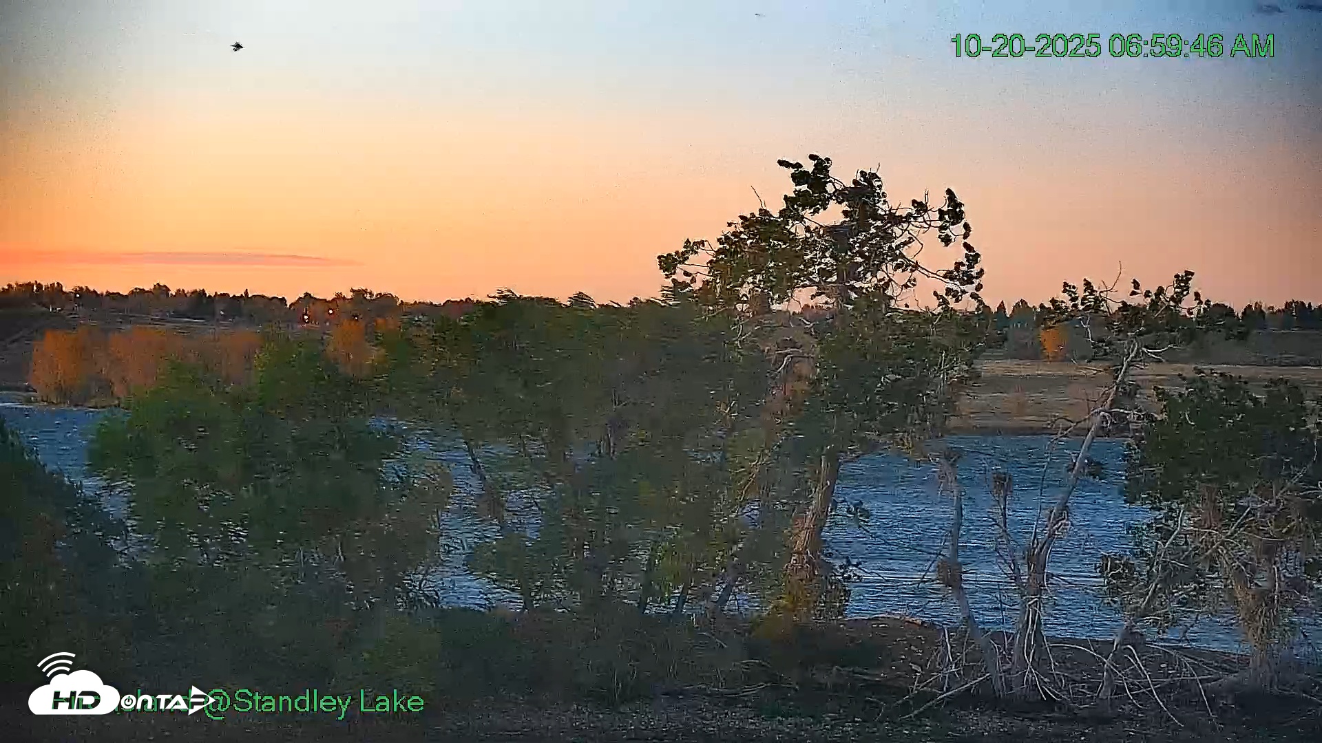 Snapshot of Bird Island Standley Lake Live Webcam taken Oct 20, 2025, 6:59am MDT
