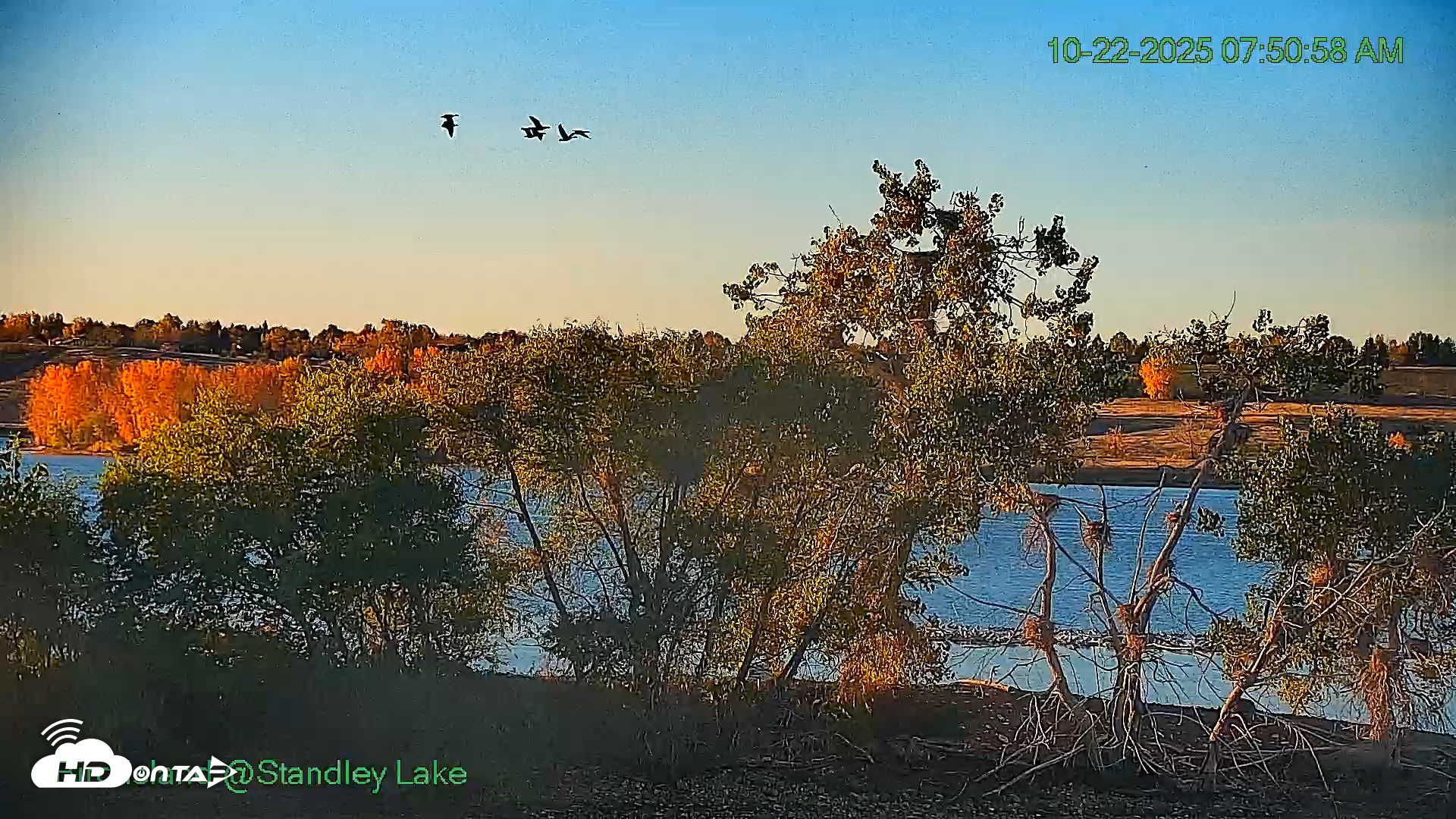Snapshot of Bird Island Standley Lake Live Webcam taken Oct 22, 2025, 7:50am MDT