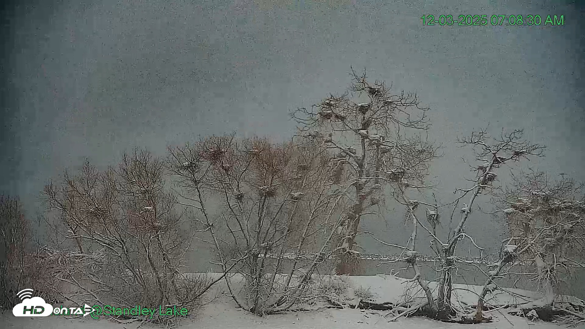 Snapshot of Bird Island Standley Lake Live Webcam taken Dec 3, 2025, 7:08am MST