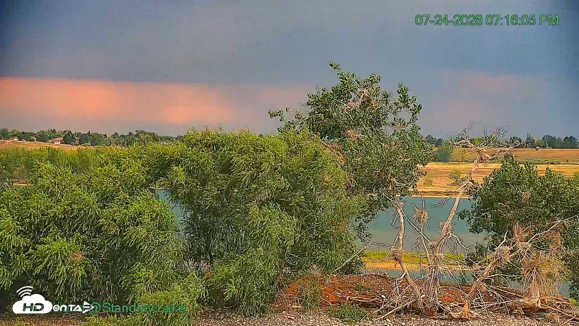 Snapshot of Bird Island Standley Lake Live Webcam taken Jul 24, 2026, 7:16pm MDT