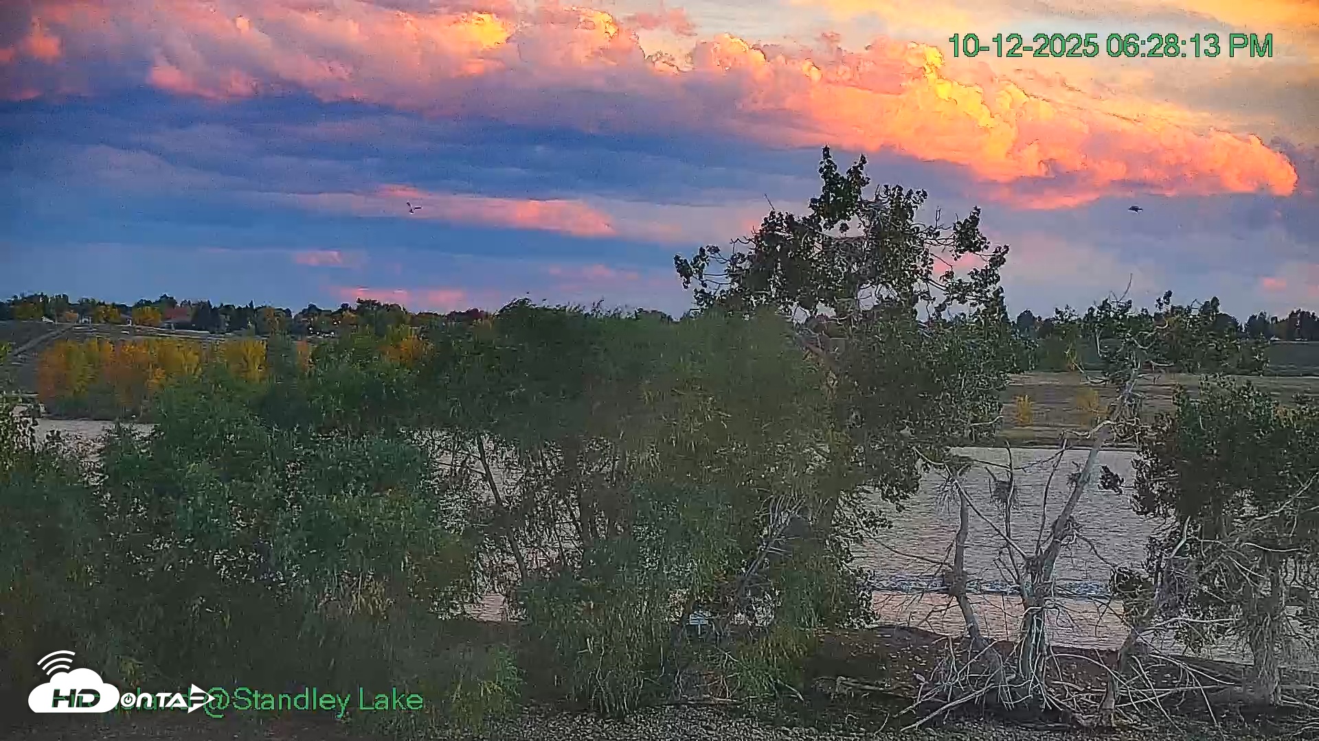 Snapshot of Bird Island Standley Lake Live Webcam taken Oct 12, 2025, 6:28pm MDT