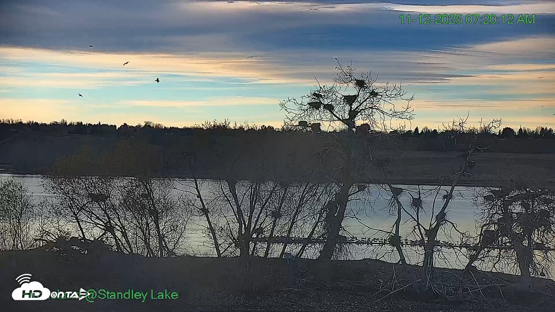 Snapshot of Bird Island Standley Lake Live Webcam taken Nov 12, 2025, 7:20am MST