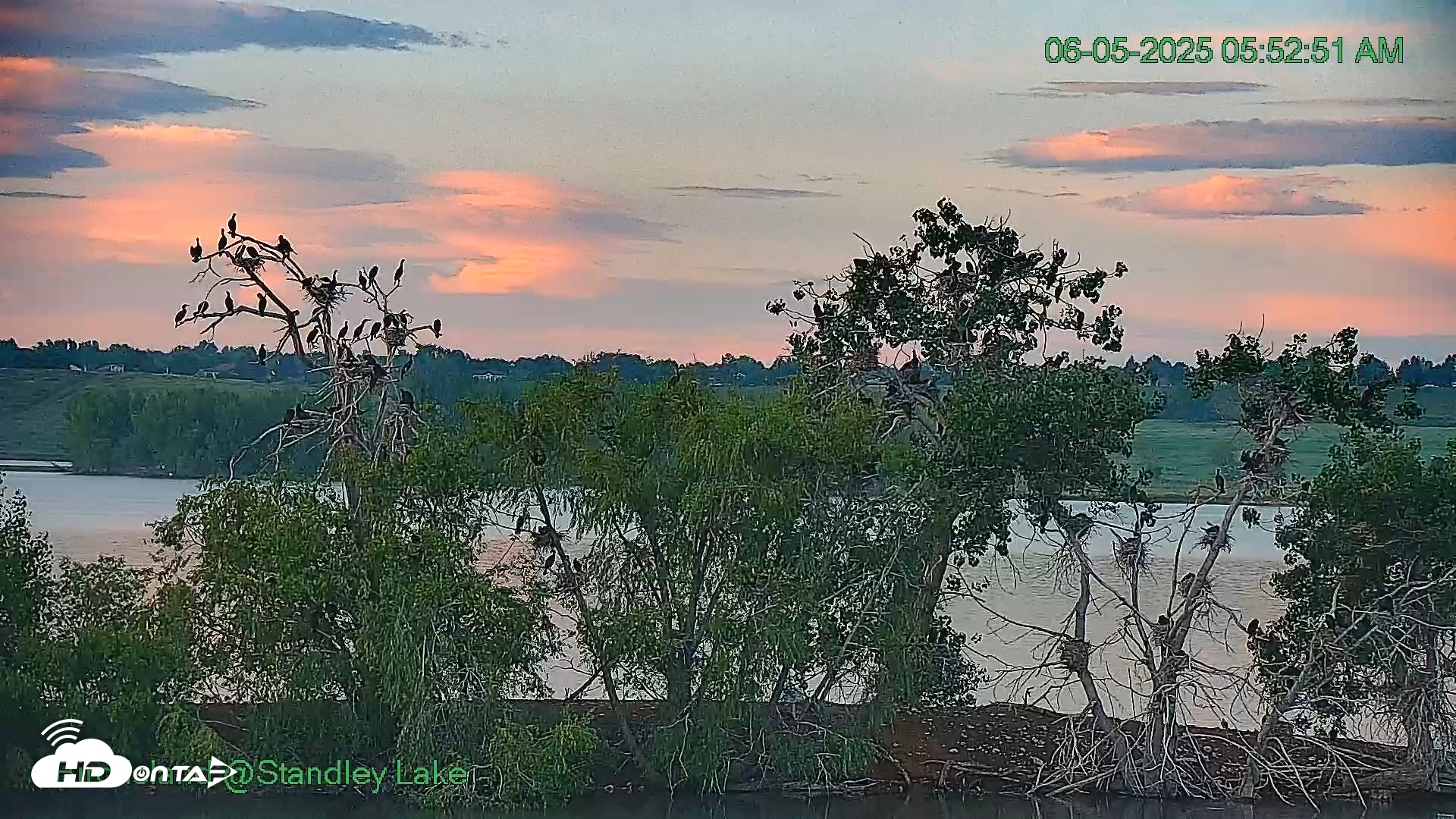 Snapshot of Bird Island Standley Lake taken Jun 5, 2025, 5:53am MDT
