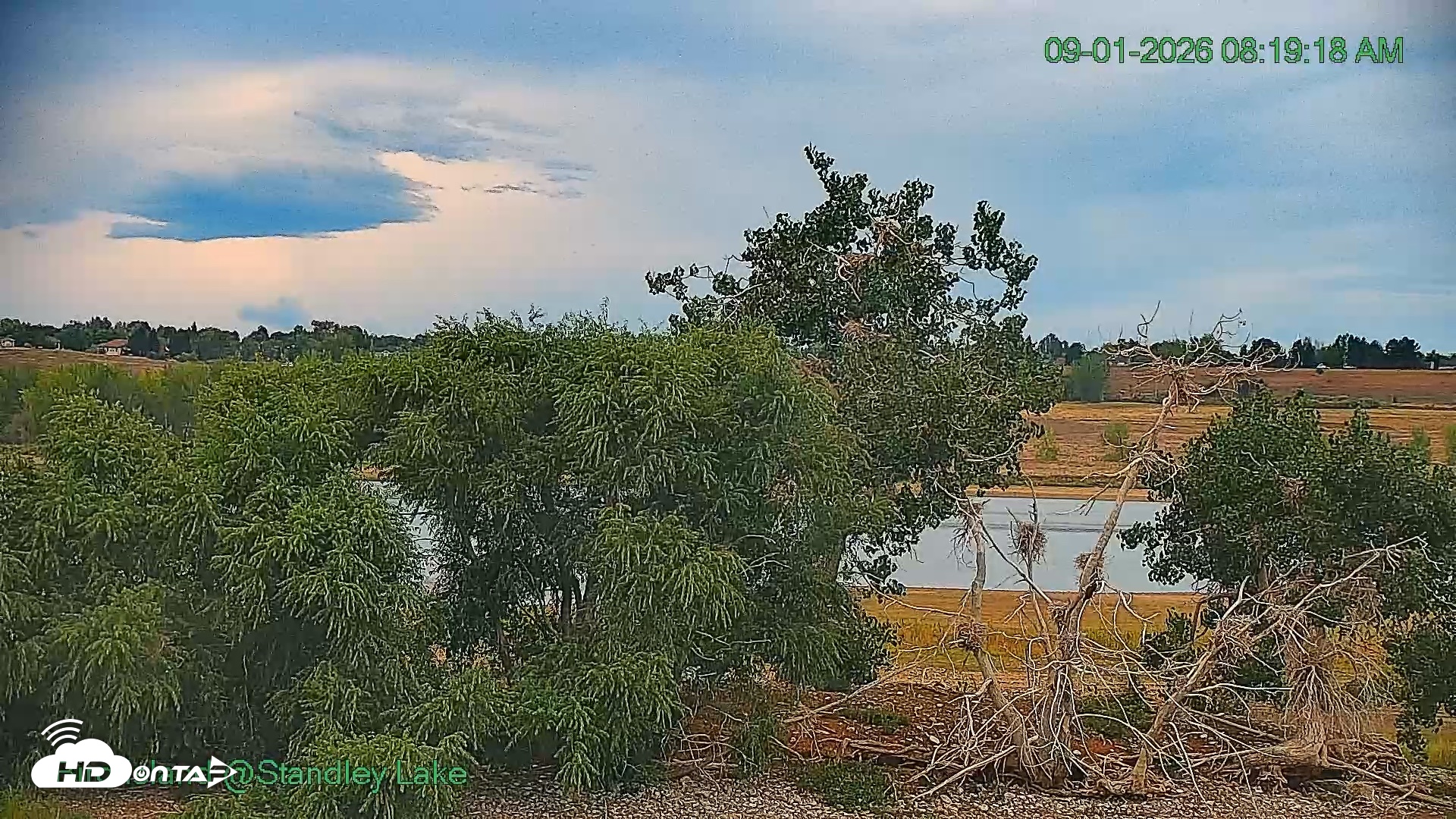 Snapshot of Bird Island Standley Lake Live Webcam taken Sep 1, 2026, 8:20am MDT