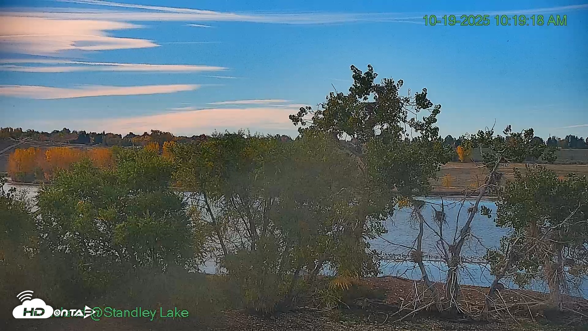 Snapshot of Bird Island Standley Lake Live Webcam taken Oct 19, 2025, 10:19am MDT