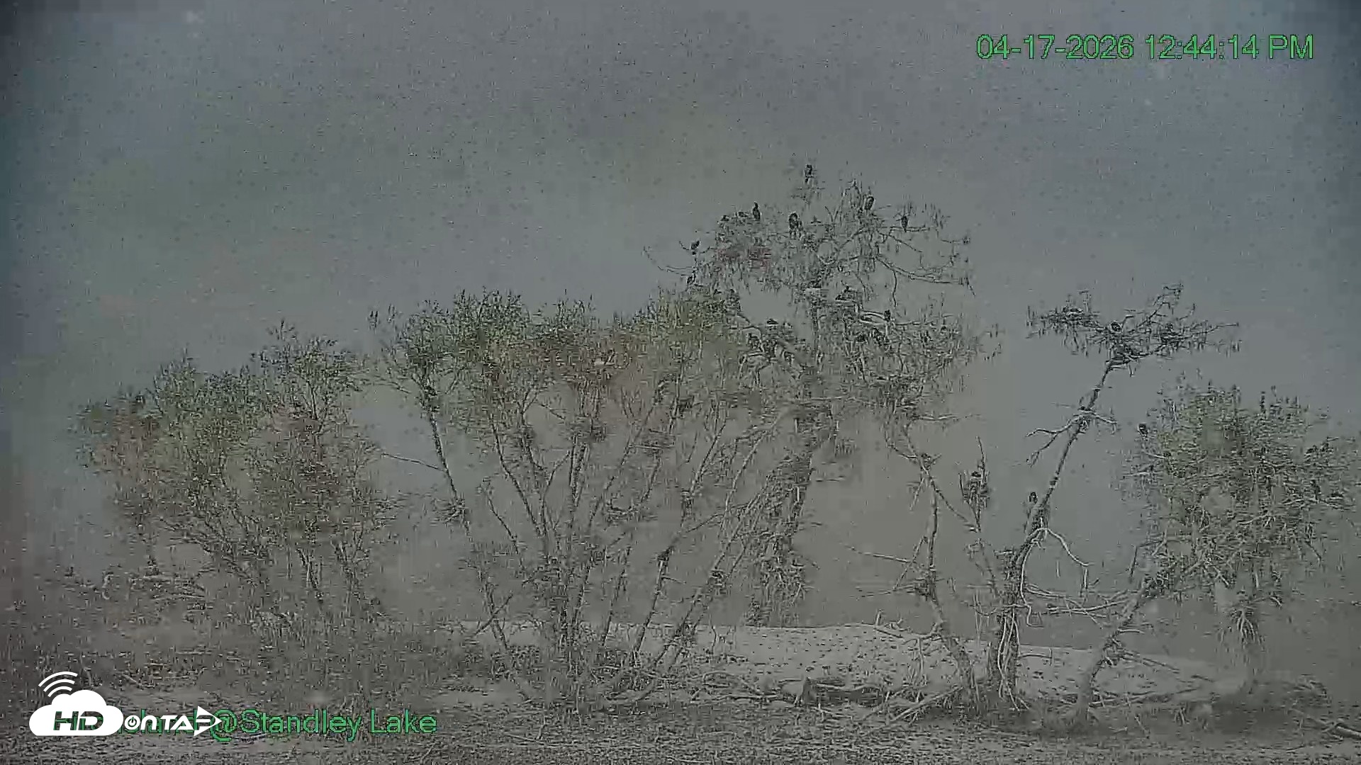 Snapshot of Bird Island Standley Lake Live Webcam taken Apr 17, 2026, 12:44pm MDT