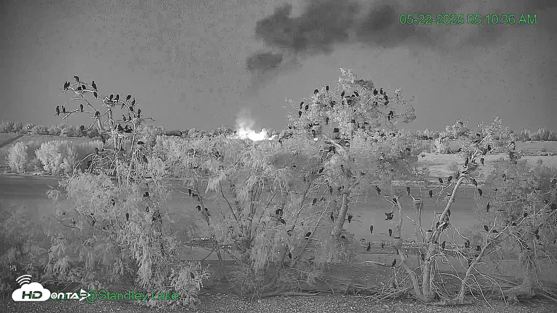 Snapshot of Bird Island Standley Lake taken May 22, 2025, 5:10am MDT