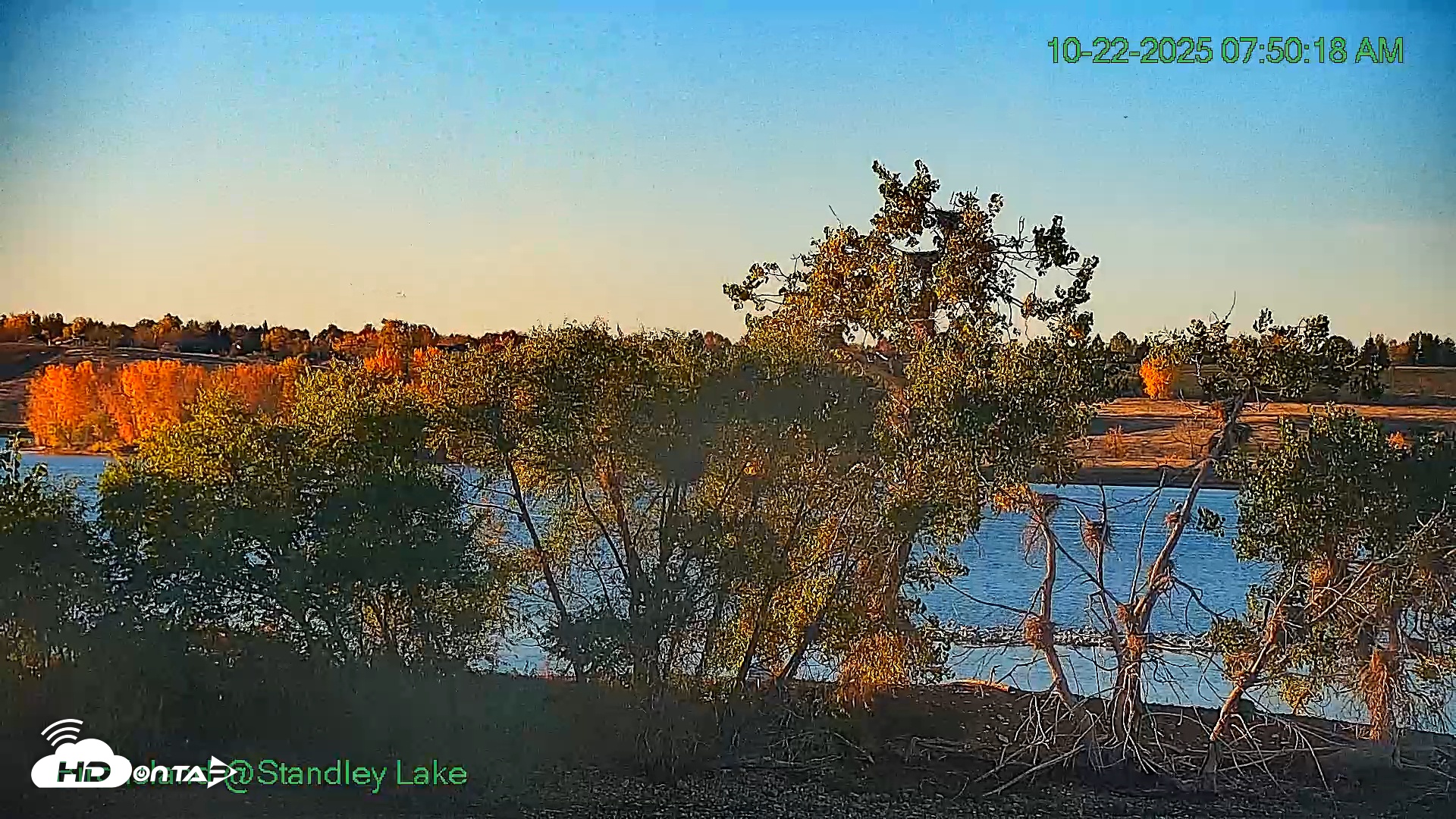 Snapshot of Bird Island Standley Lake Live Webcam taken Oct 22, 2025, 7:50am MDT