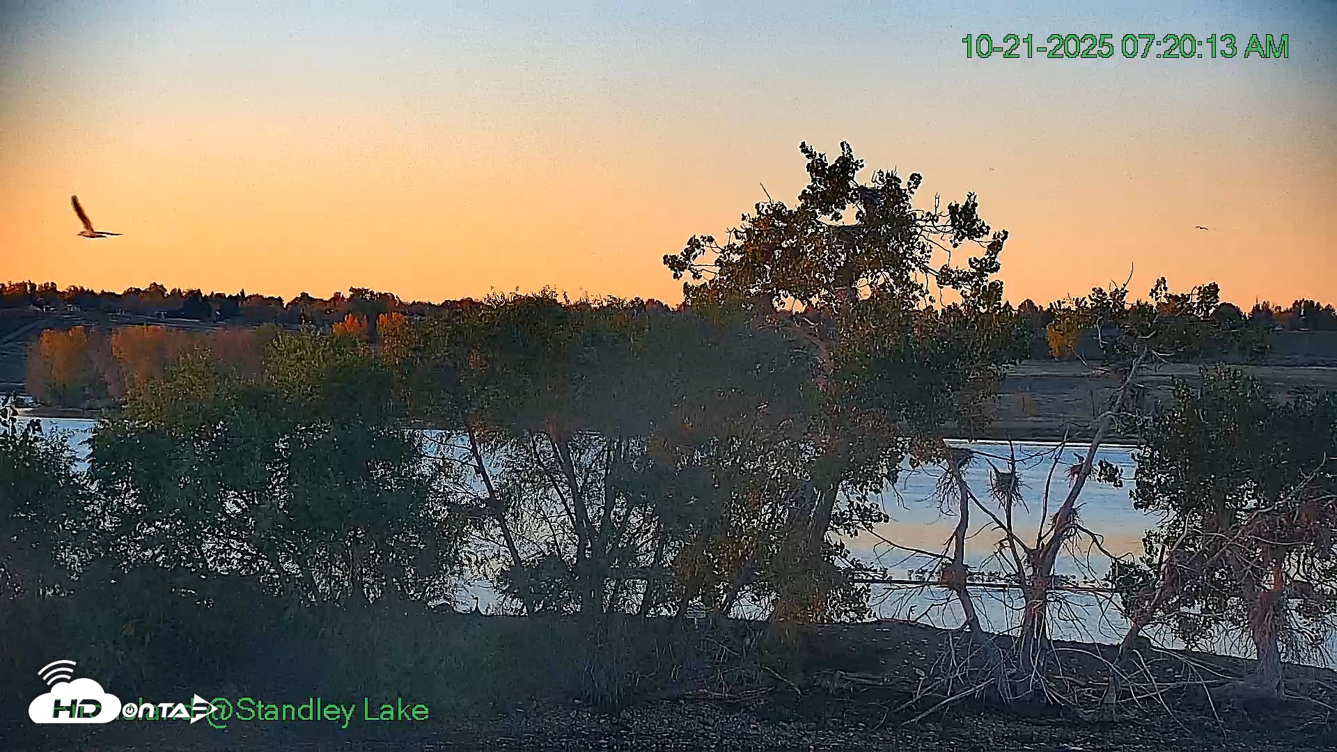 Snapshot of Bird Island Standley Lake Live Webcam taken Oct 21, 2025, 7:20am MDT