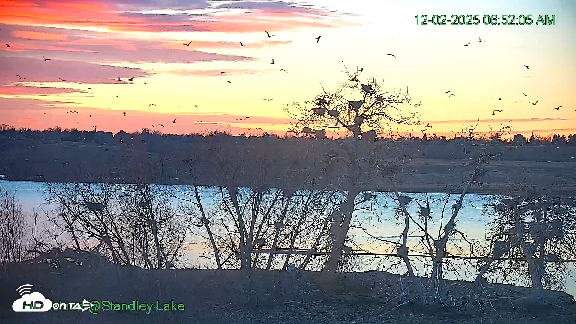 Snapshot of Bird Island Standley Lake Live Webcam taken Dec 2, 2025, 6:52am MST