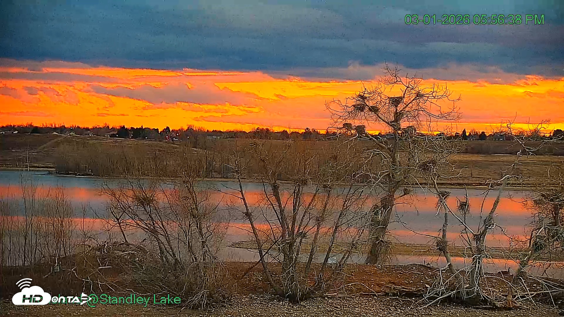 Snapshot of Bird Island Standley Lake Live Webcam taken Mar 1, 2026, 5:57pm MST