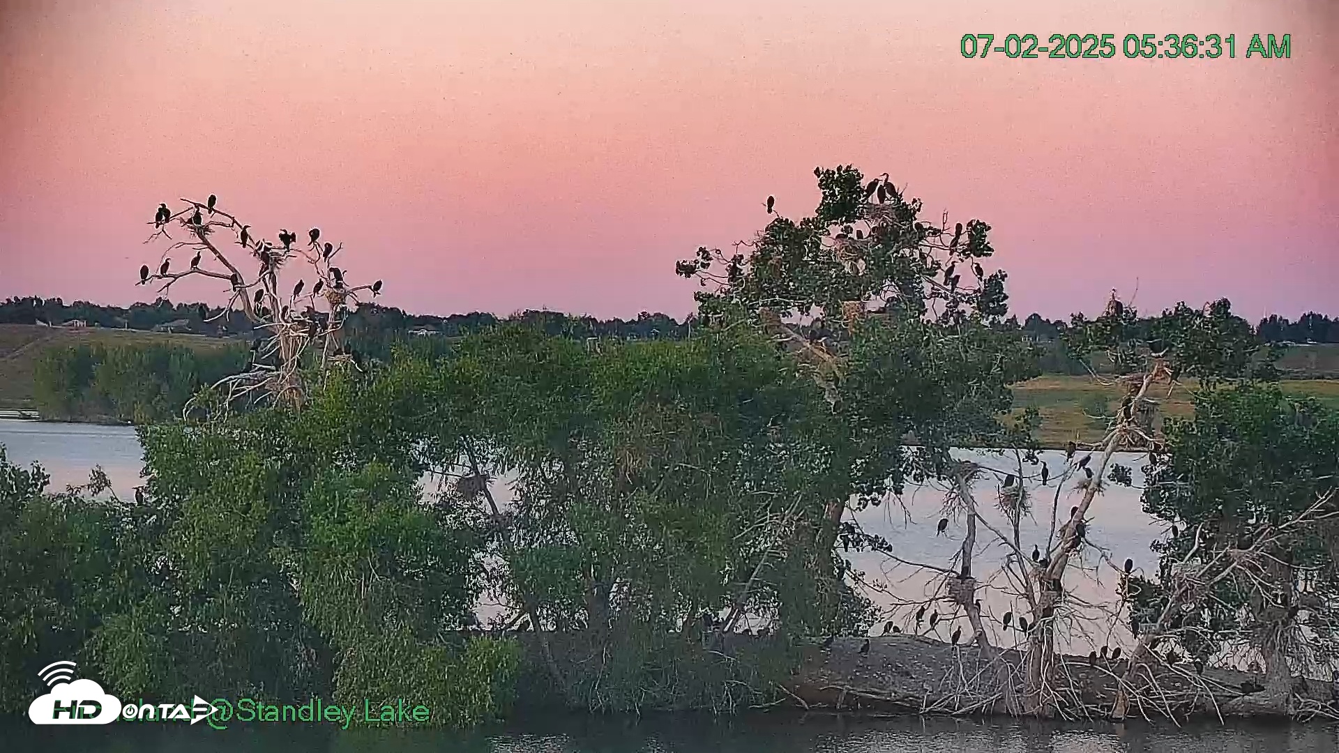 Snapshot of Bird Island Standley Lake taken Jul 2, 2025, 5:37am MDT