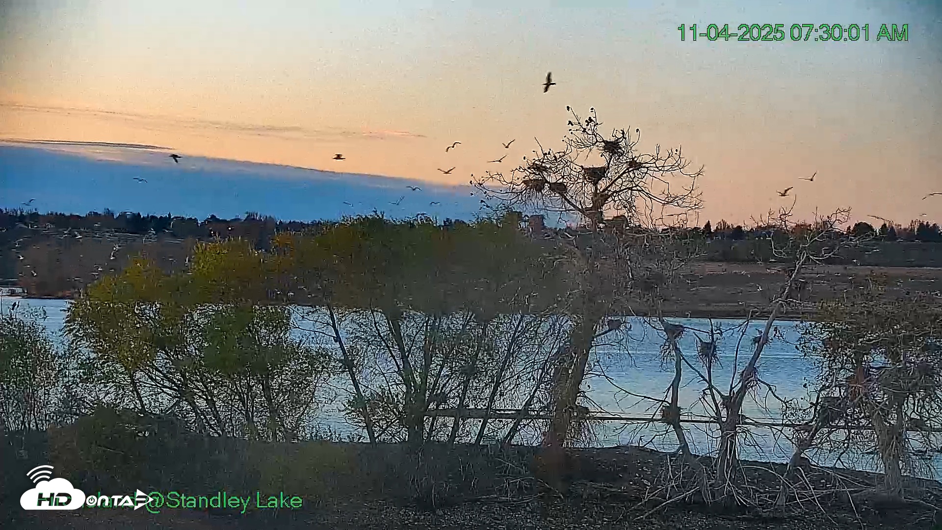 Snapshot of Bird Island Standley Lake Live Webcam taken Nov 4, 2025, 6:30am MST