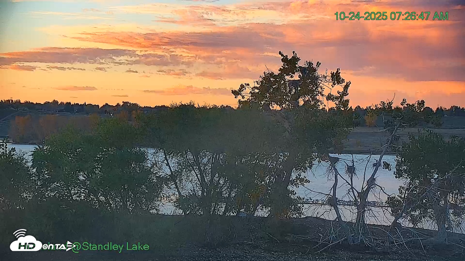 Snapshot of Bird Island Standley Lake Live Webcam taken Oct 24, 2025, 7:26am MDT