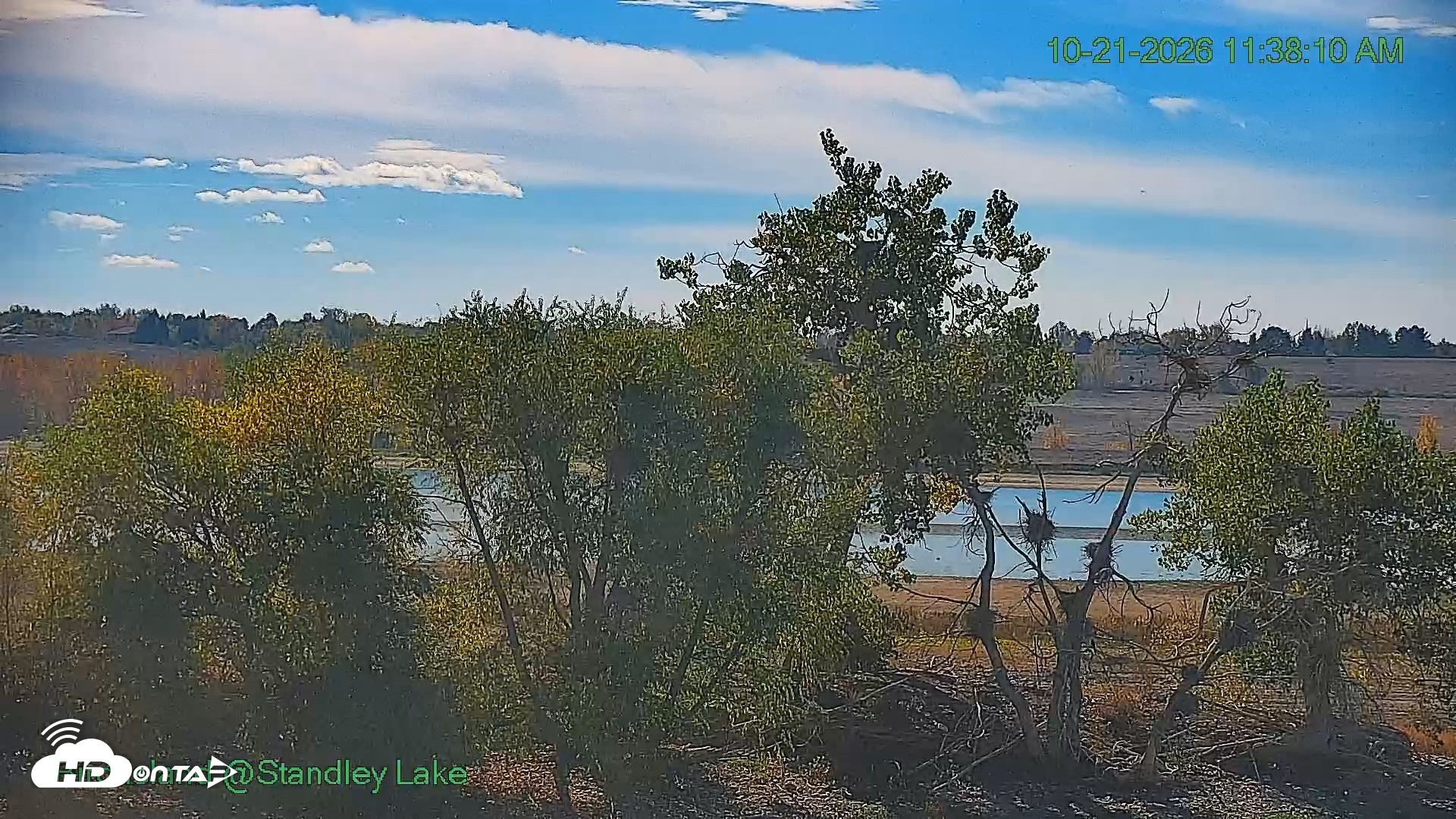 Snapshot of Bird Island Standley Lake Live Webcam taken Oct 21, 2026, 11:38am MDT