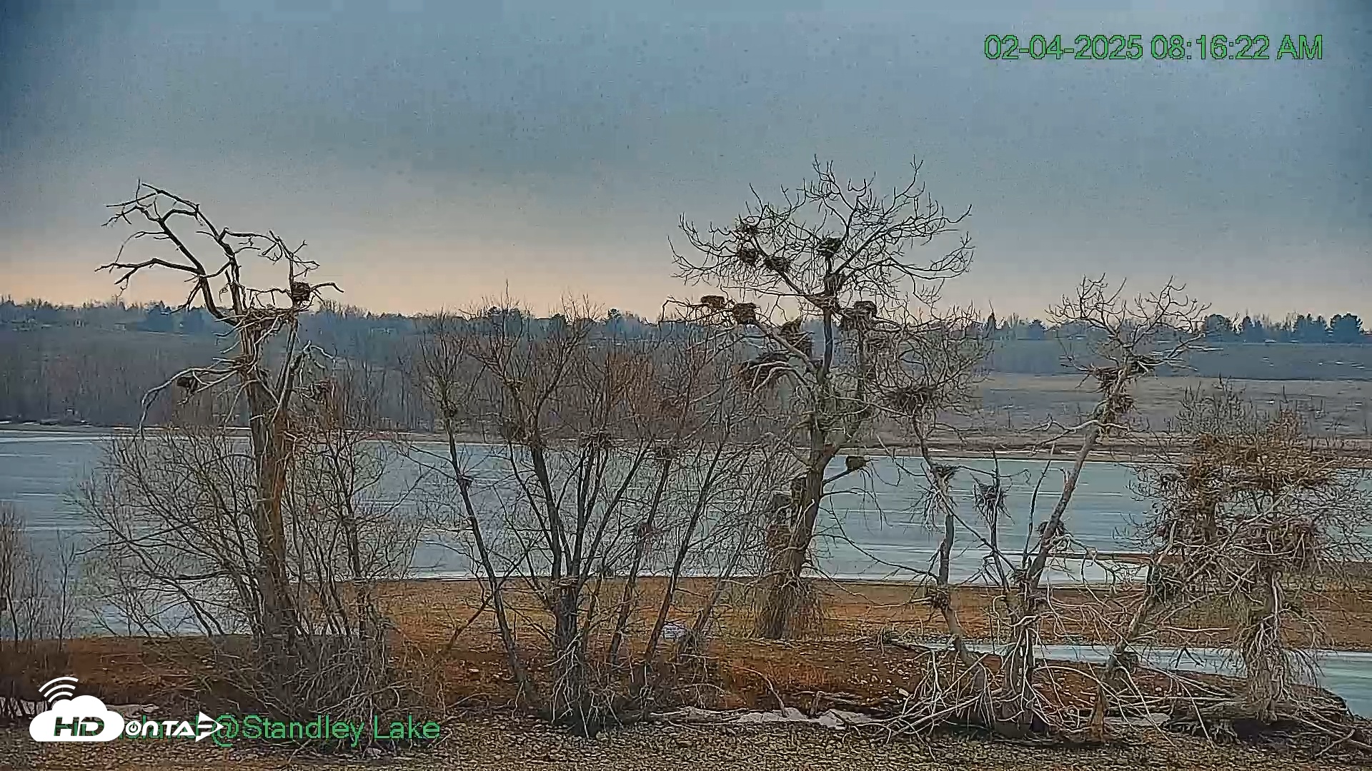 Snapshot of Bird Island Standley Lake Live Webcam taken Feb 4, 2025, 8:16am MST