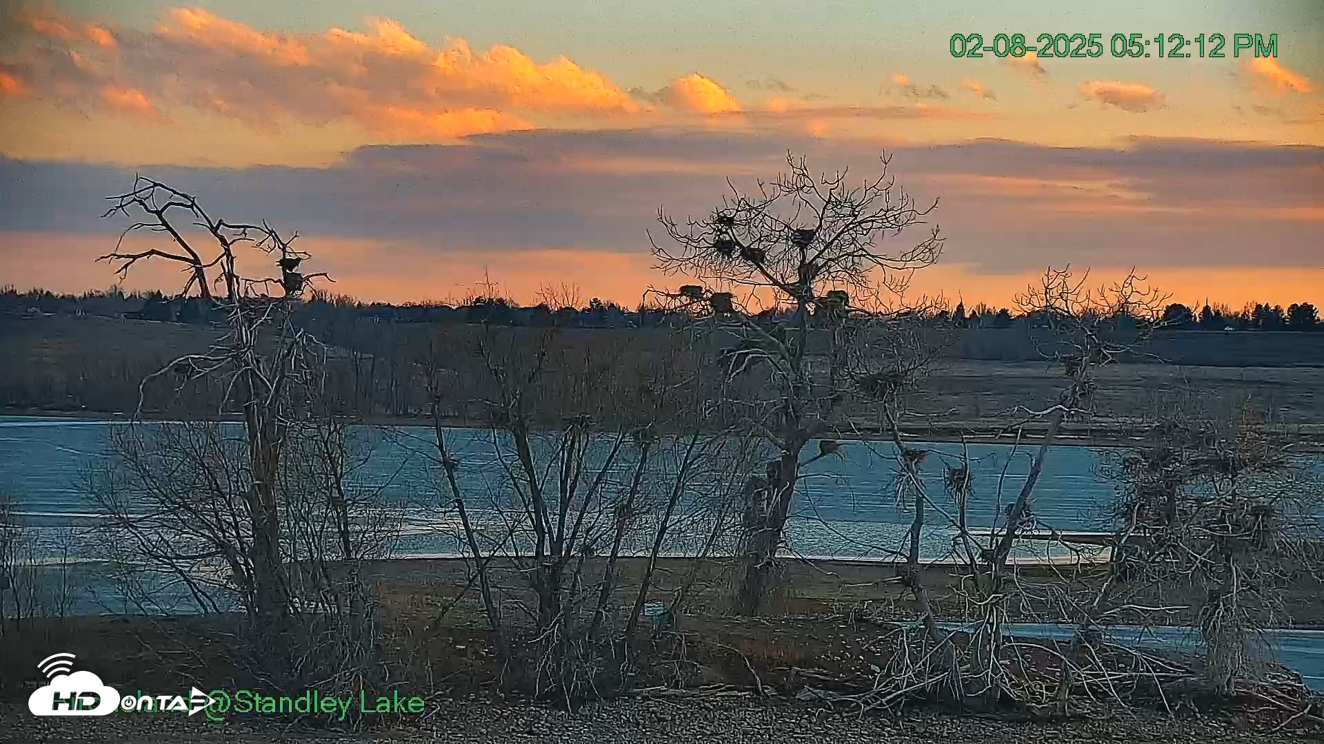 Snapshot of Bird Island Standley Lake Live Webcam taken Feb 8, 2025, 5:11pm MST