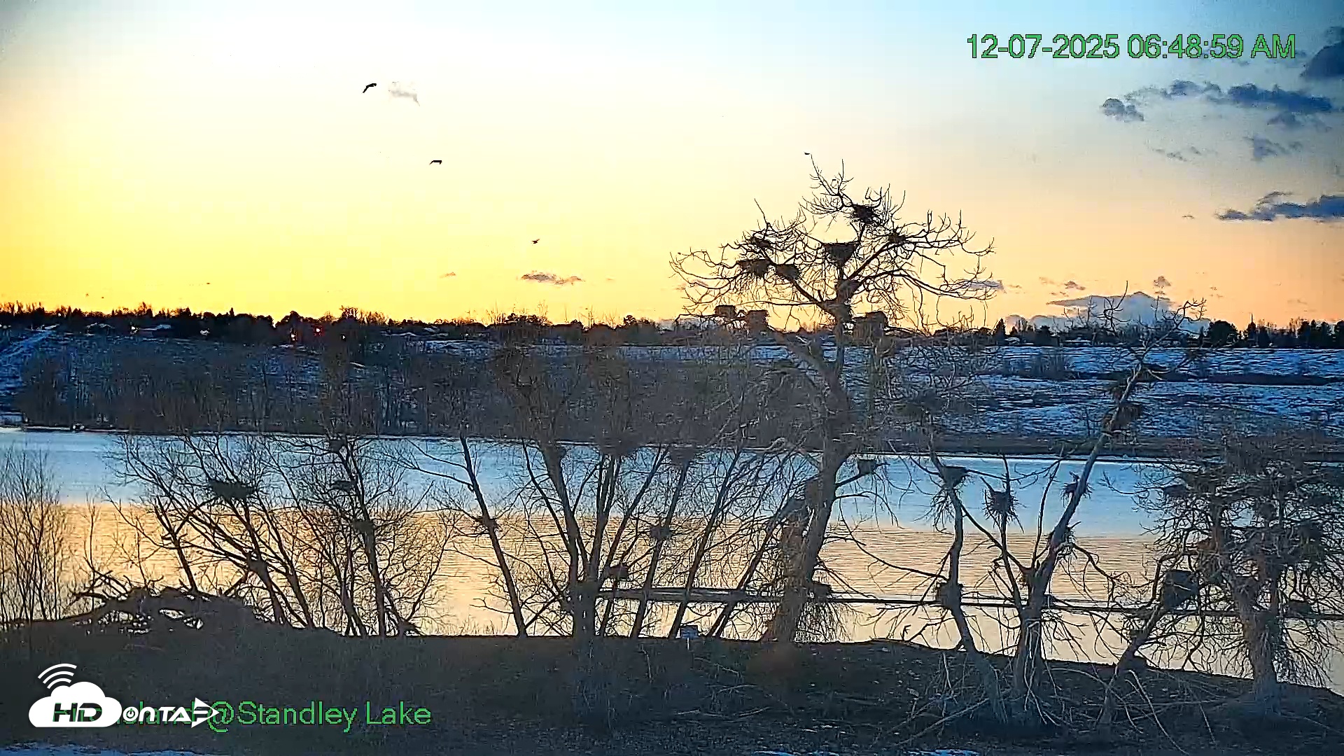 Snapshot of Bird Island Standley Lake Live Webcam taken Dec 7, 2025, 6:49am MST