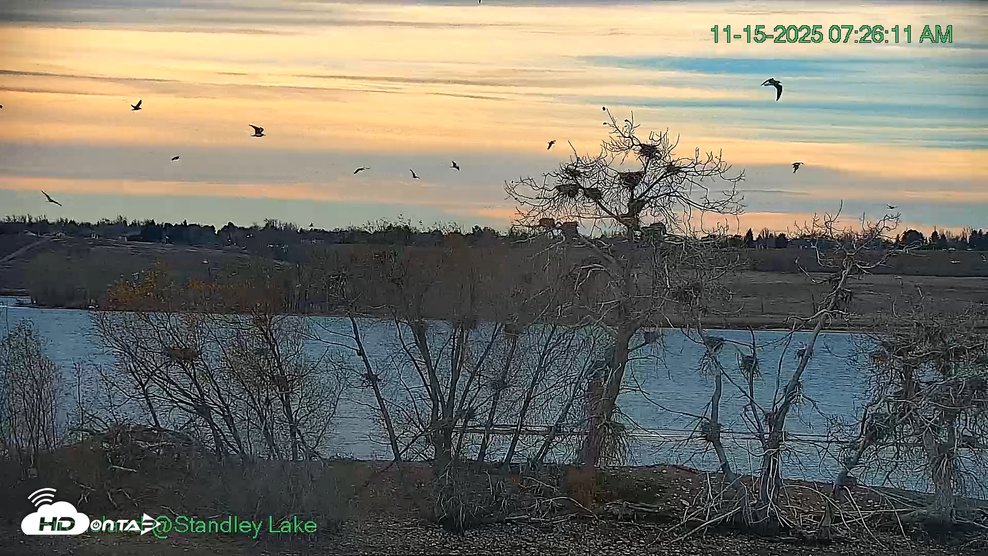 Snapshot of Bird Island Standley Lake Live Webcam taken Nov 15, 2025, 7:26am MST