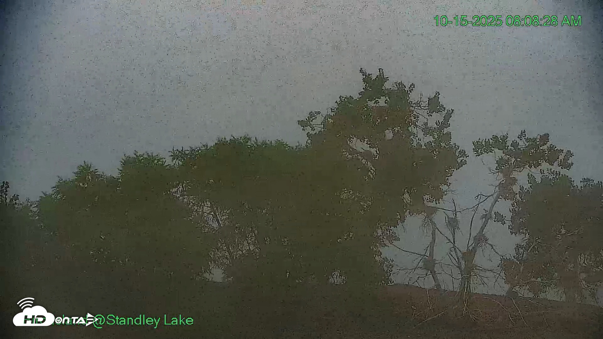 Snapshot of Bird Island Standley Lake Live Webcam taken Oct 15, 2025, 8:08am MDT