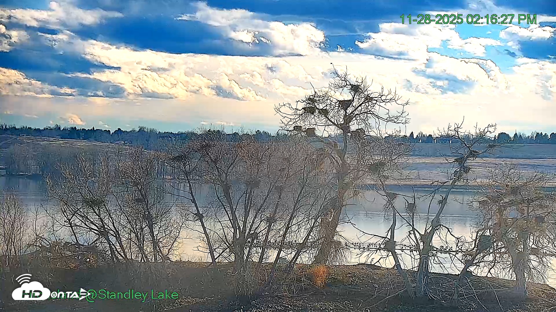 Snapshot of Bird Island Standley Lake Live Webcam taken Nov 28, 2025, 2:17pm MST
