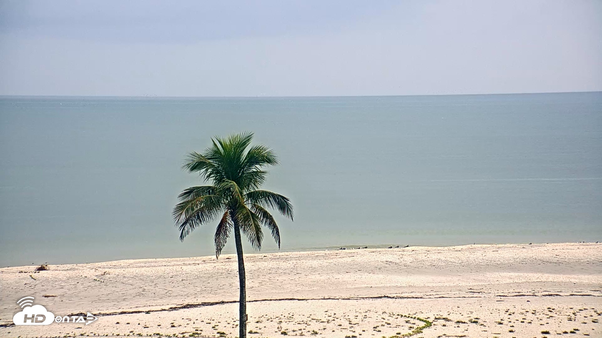 Snapshot of Sanibel Island Flordia Live Webcam taken Oct 17, 2026, 2:48pm EDT