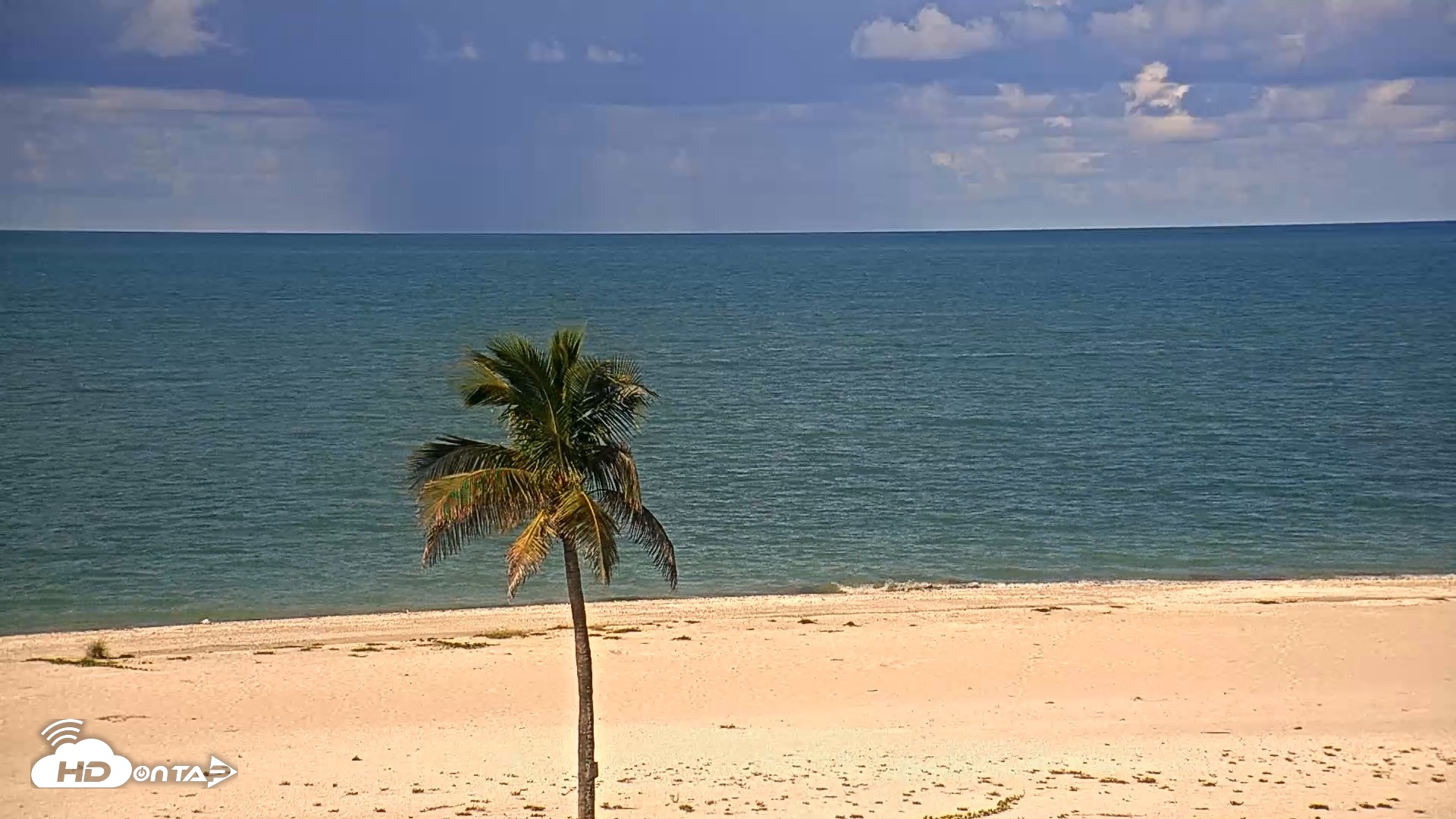 Snapshot of Sanibel Island Flordia Live Webcam taken Sep 7, 2026, 9:45am EDT