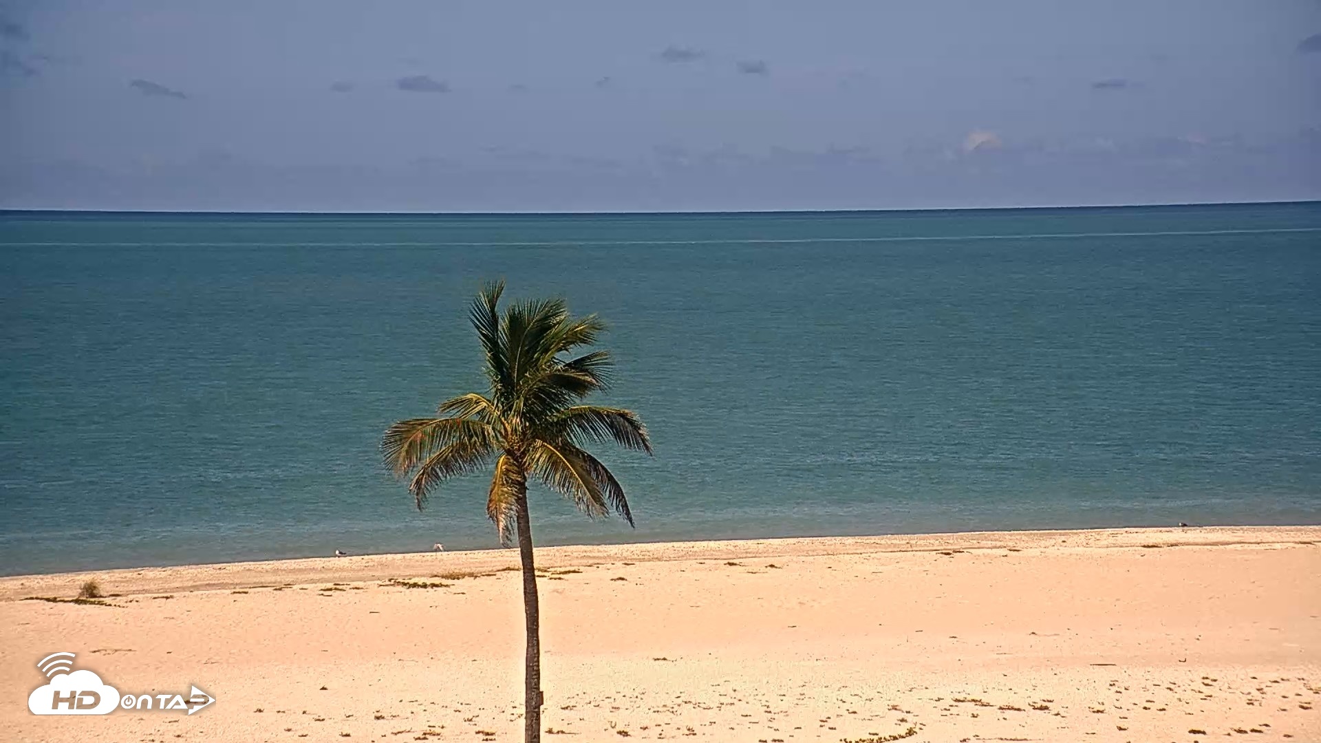 Snapshot of Sanibel Island Flordia Live Webcam taken Aug 31, 2026, 10:43am EDT