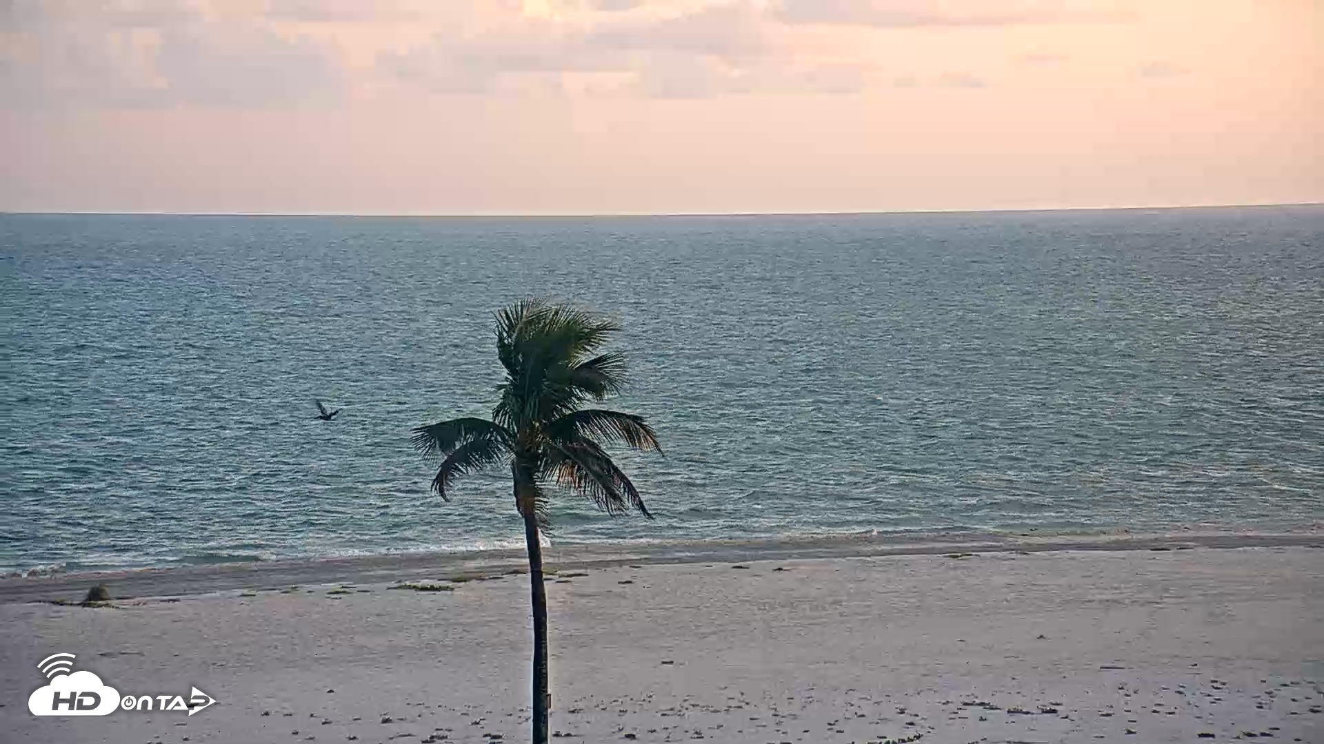 Snapshot of Sanibel Island Flordia Live Webcam taken Aug 26, 2026, 7:46pm EDT
