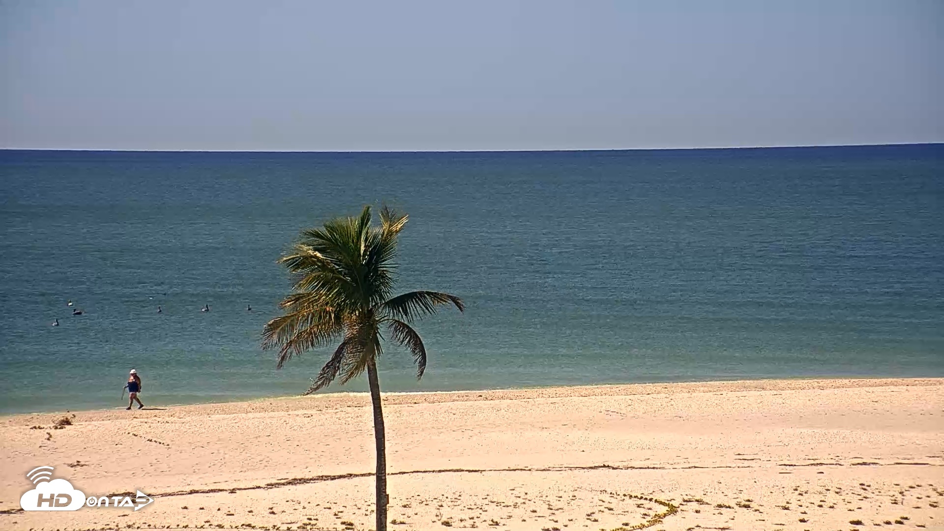 Snapshot of Sanibel Island Flordia Live Webcam taken Oct 22, 2026, 12:21pm EDT
