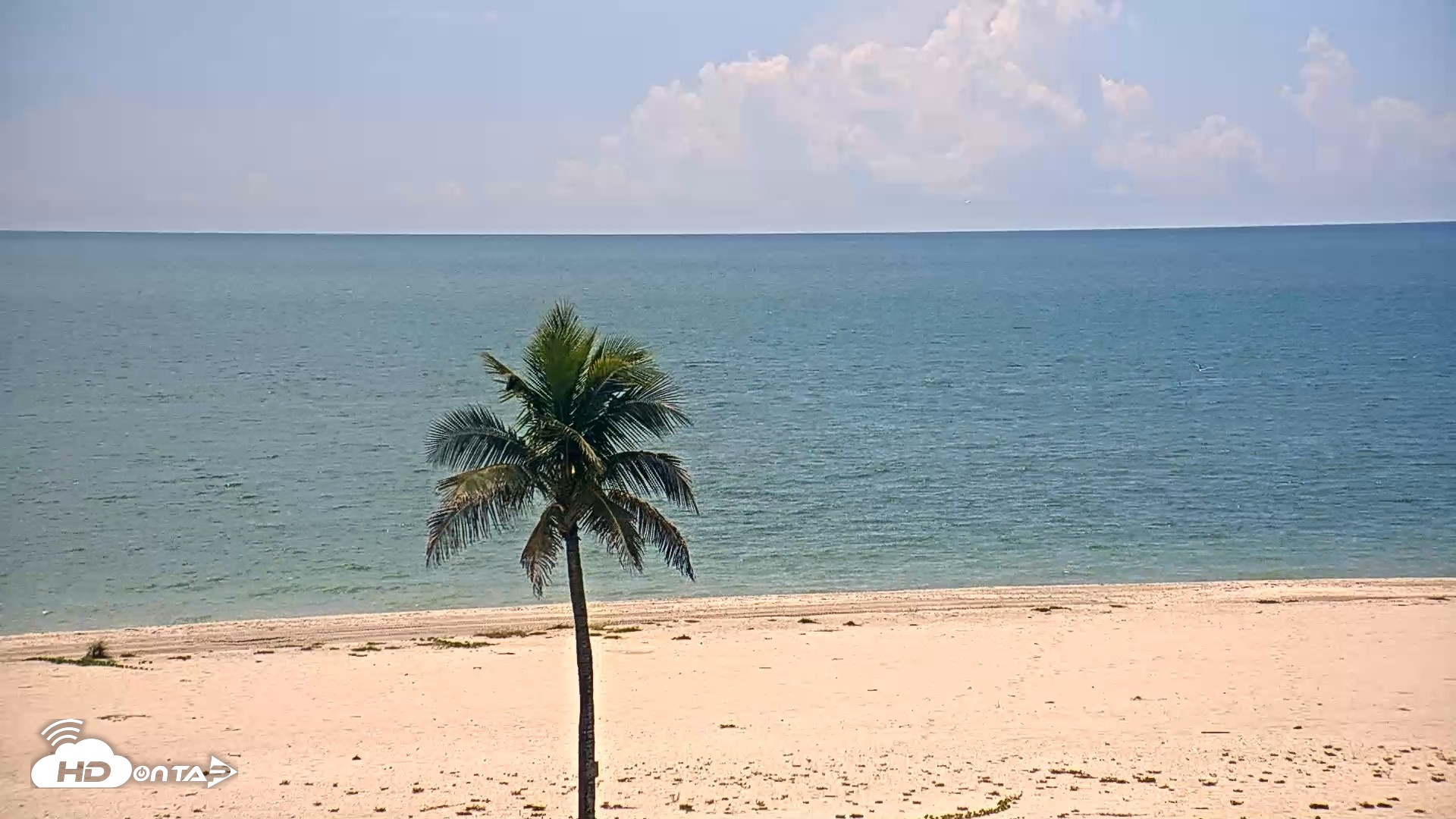 Snapshot of Sanibel Island Flordia Live Webcam taken Sep 6, 2026, 1:55pm EDT
