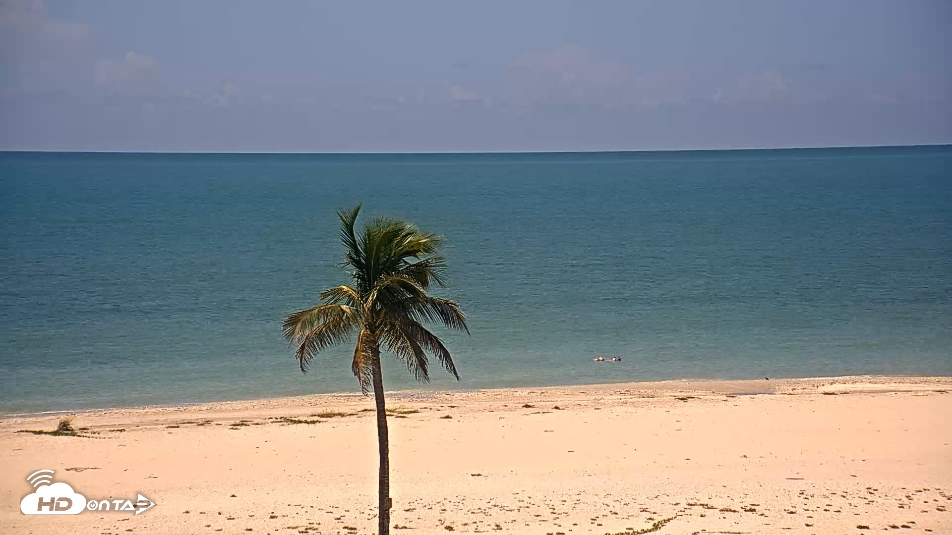 Snapshot of Sanibel Island Flordia Live Webcam taken Sep 11, 2026, 12:41pm EDT