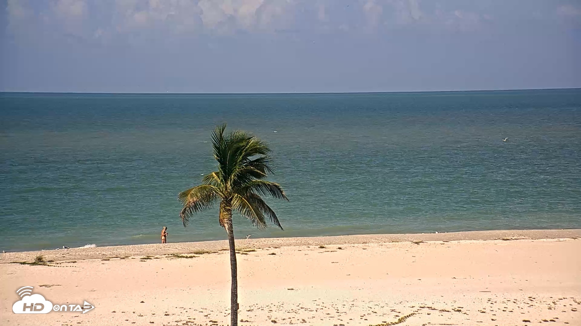Snapshot of Sanibel Island Flordia Live Webcam taken Sep 15, 2026, 10:41am EDT